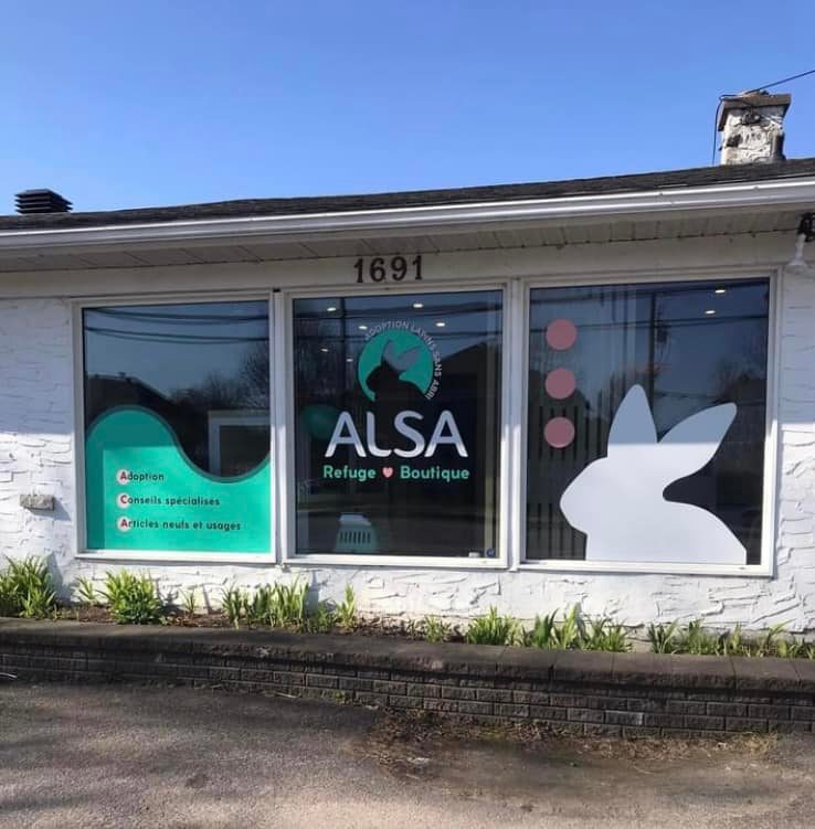 Adoption Lapins Québec Refuge Boutique Alsa