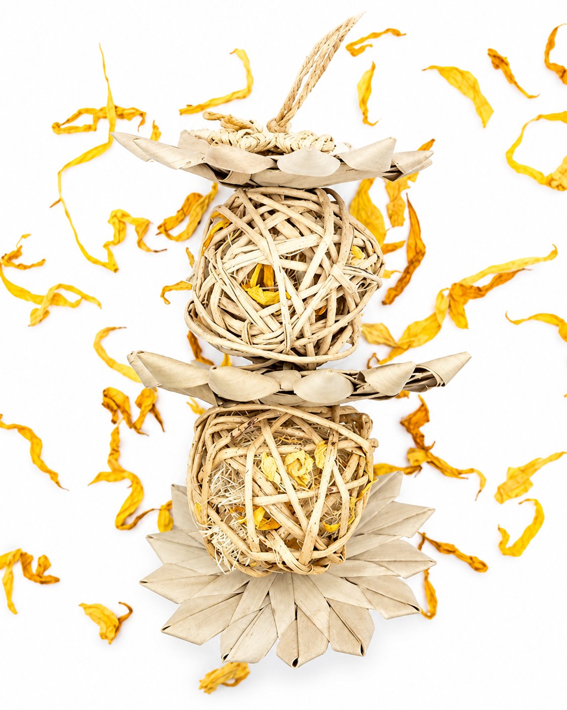 Ruisseau de Tournesols - The Bun Bun Family — sur fond blanc