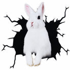 Autocollant lapin sur fond blanc