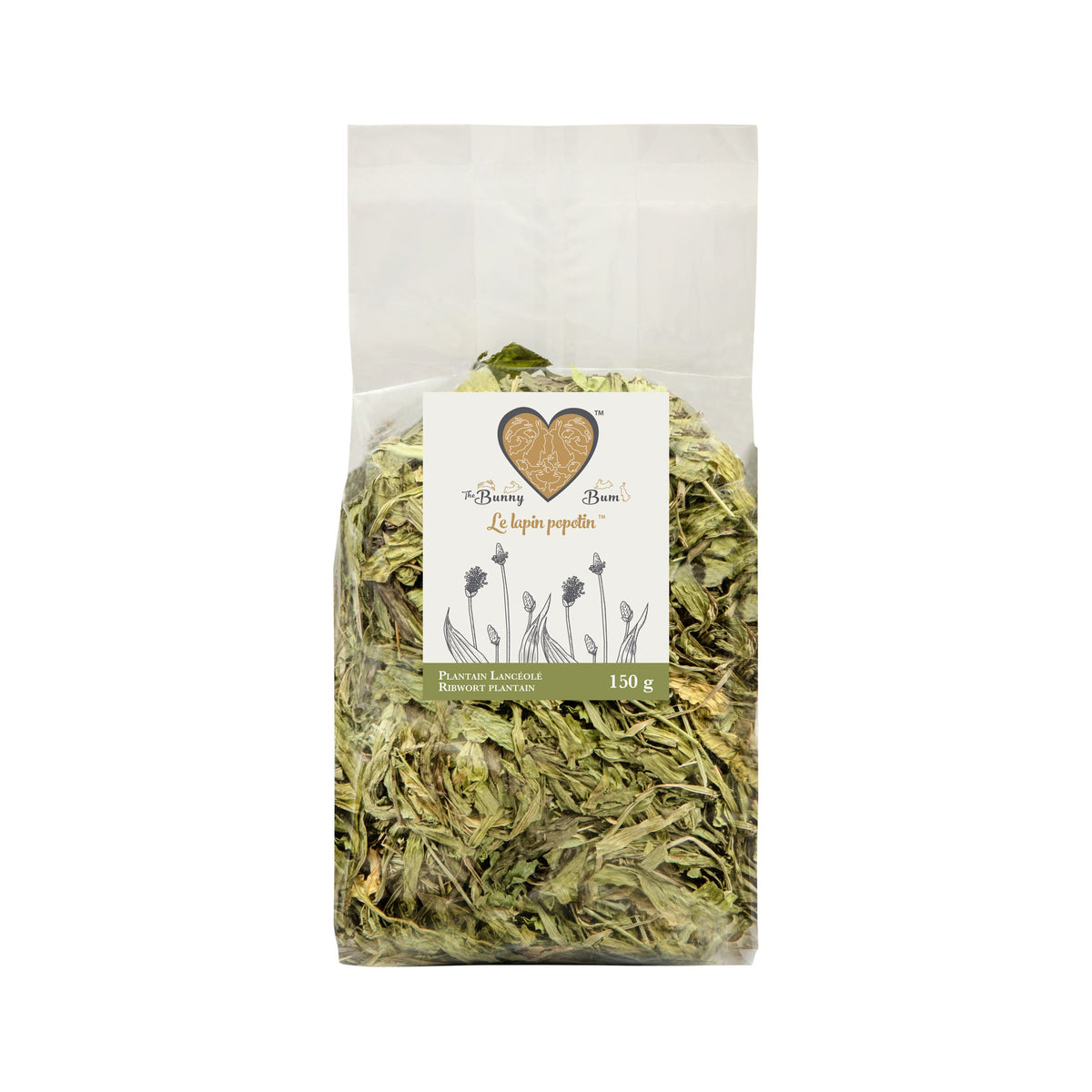 Plantain Lancéolé - Bunny Bum — produit entier sur fond blanc